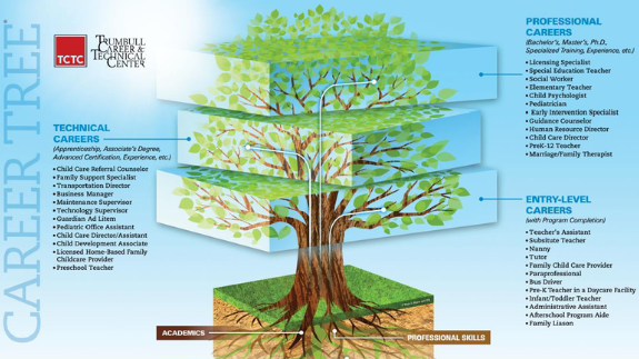 Career tree