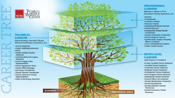 Career tree