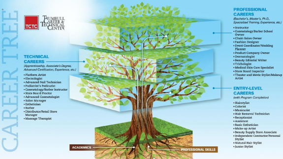 Career tree