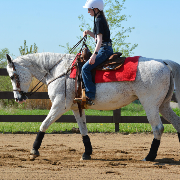 Equine student and horse