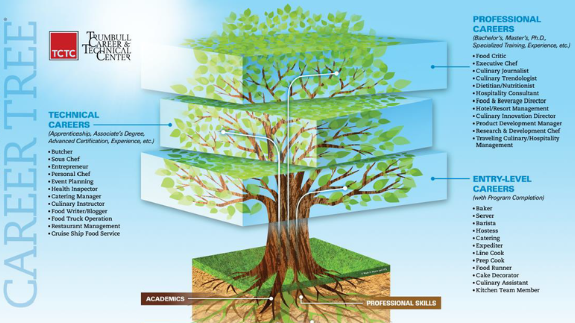 Career tree