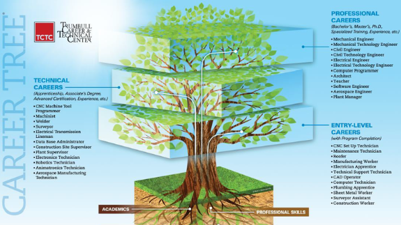 Career tree