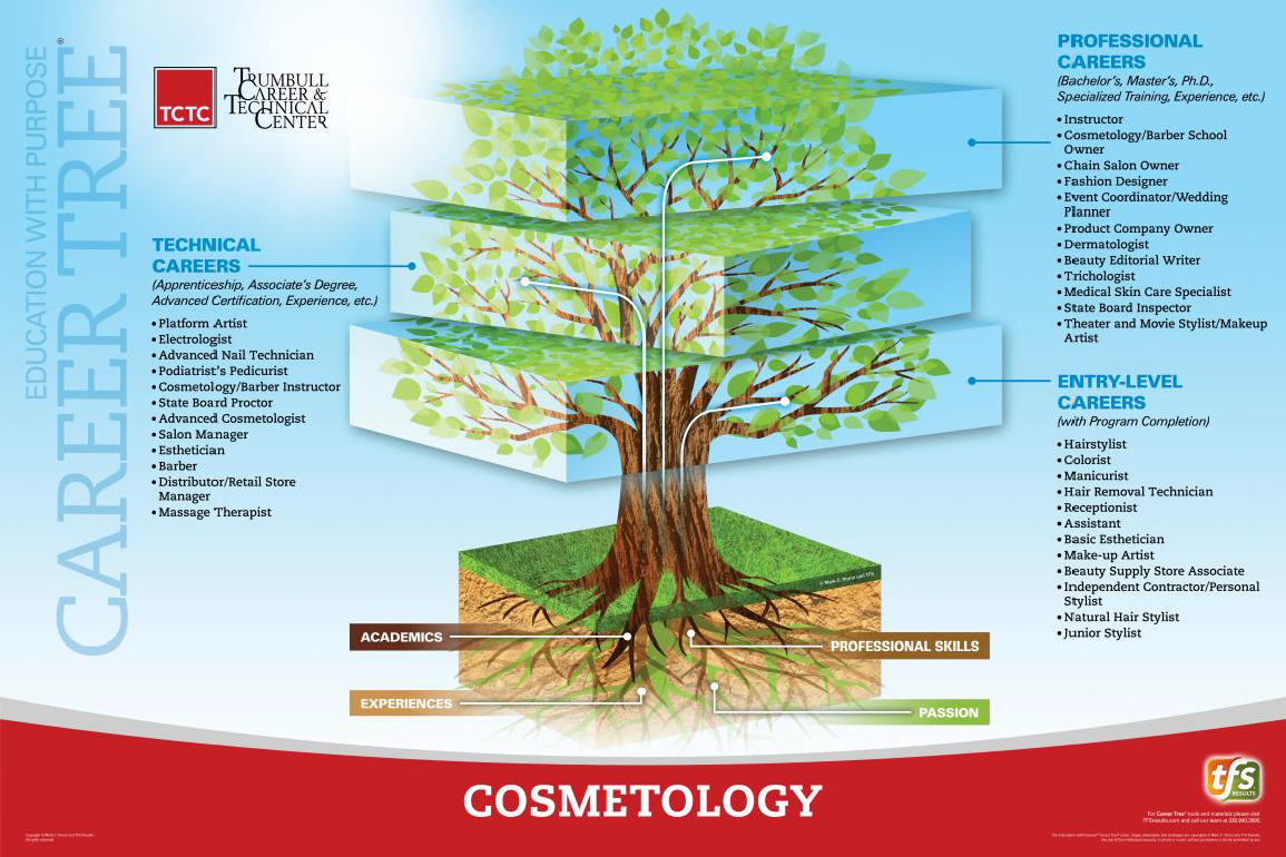Cosmetology Career Tree