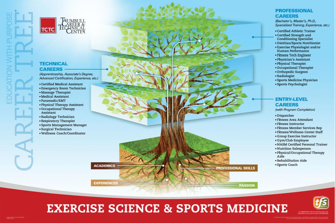 Exercise Science & Sports Medicine Career Tree