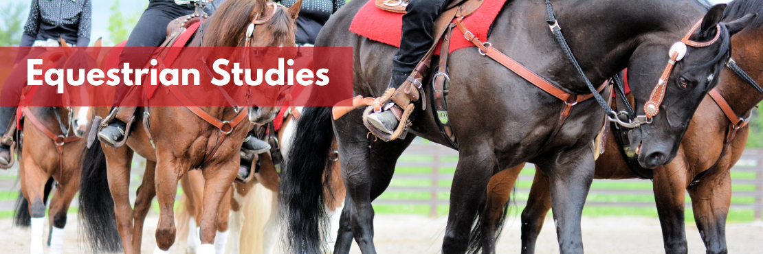 Equestrian Studies banner