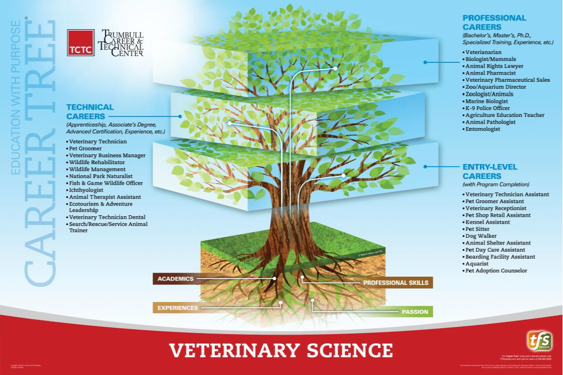 Veterinary  Science  Career Tree