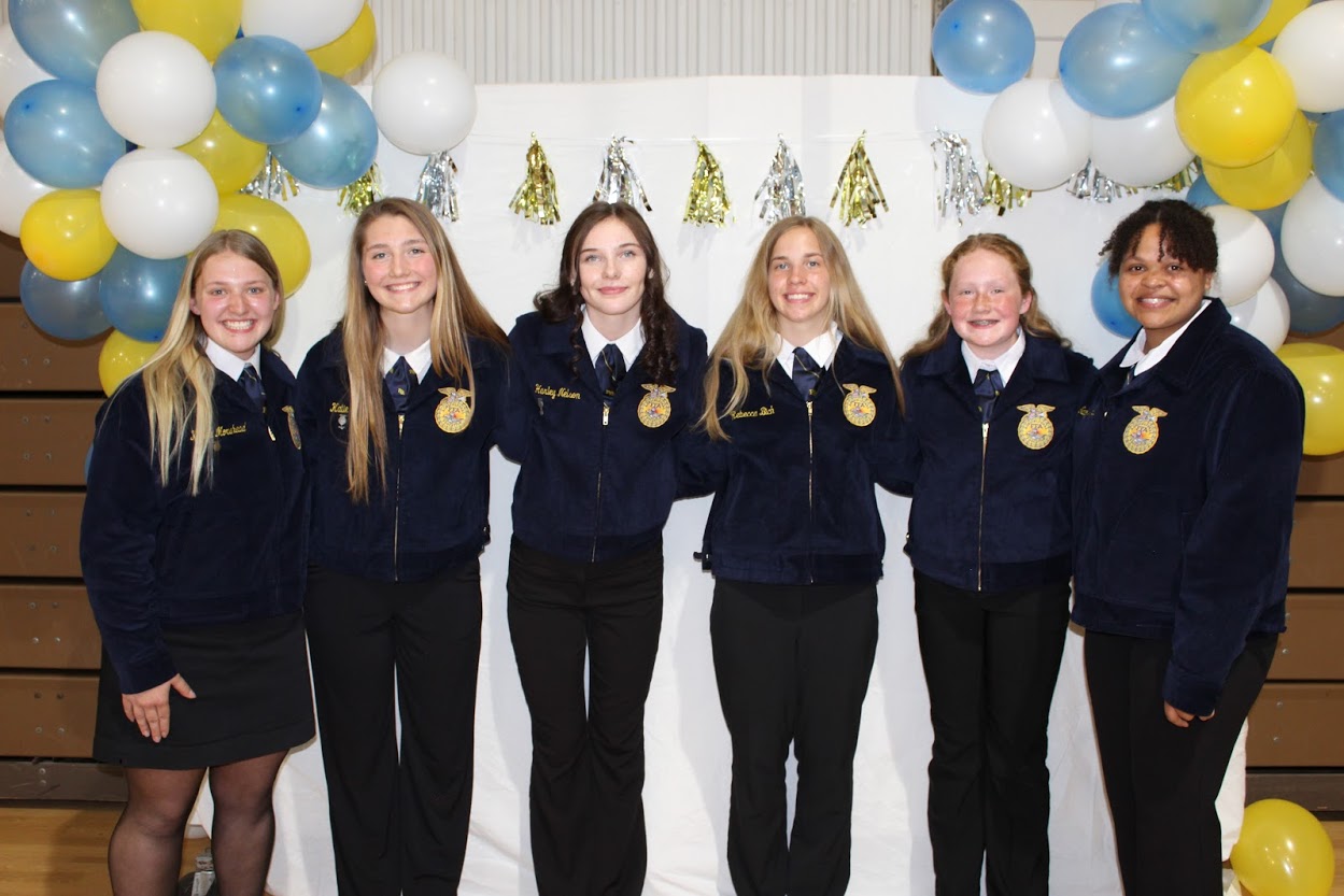 Iroquois School District