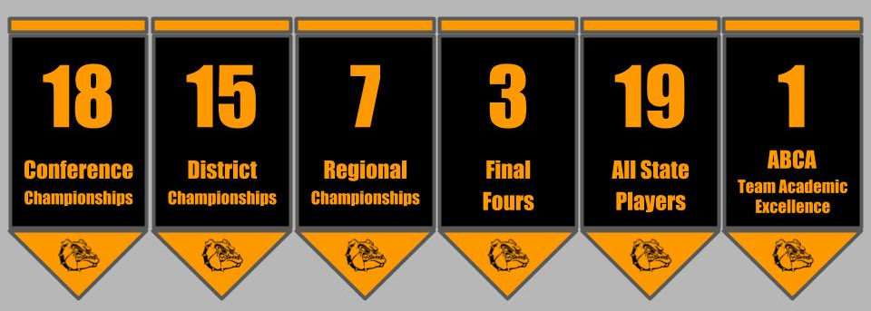 Baseball Banner