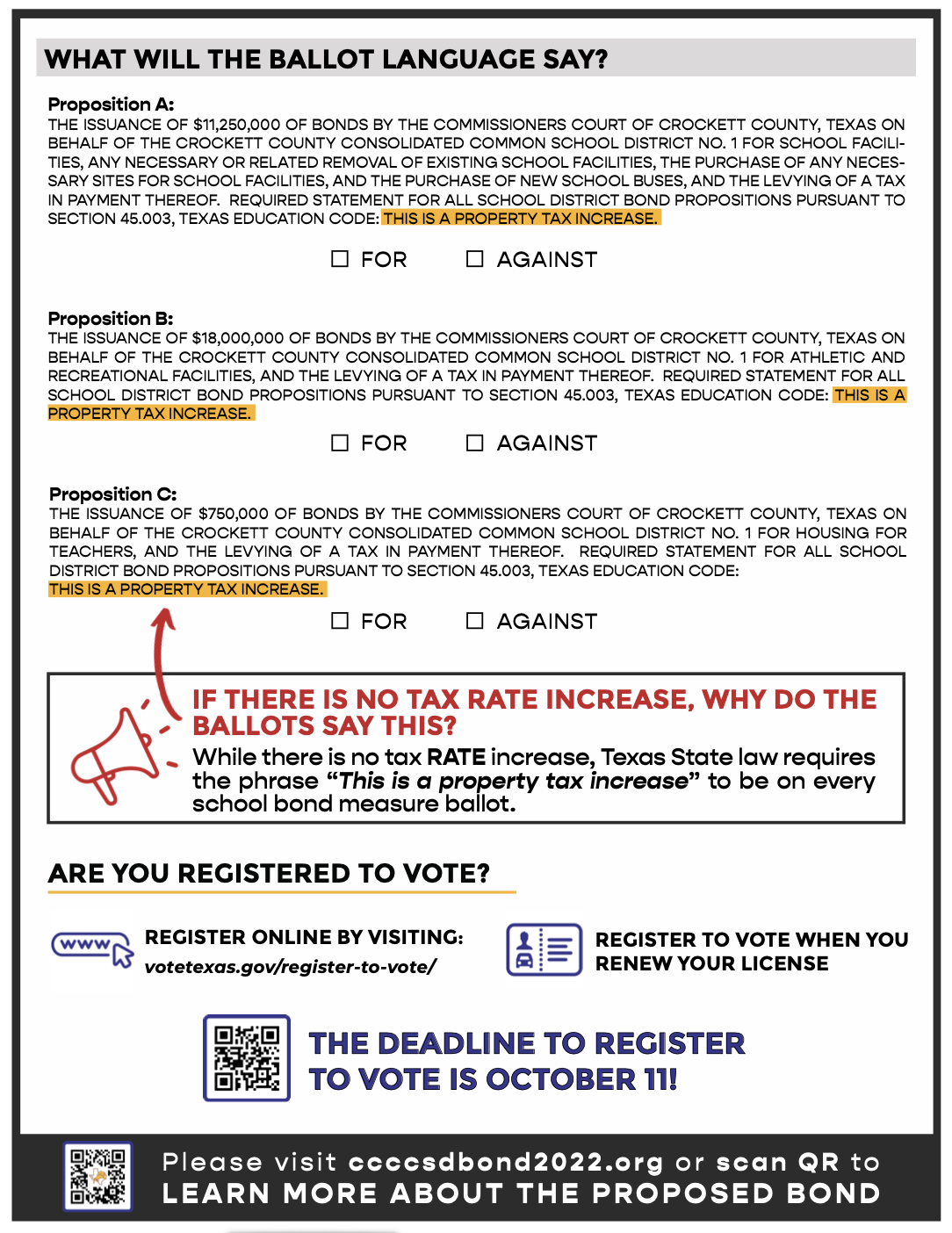 ballot info 