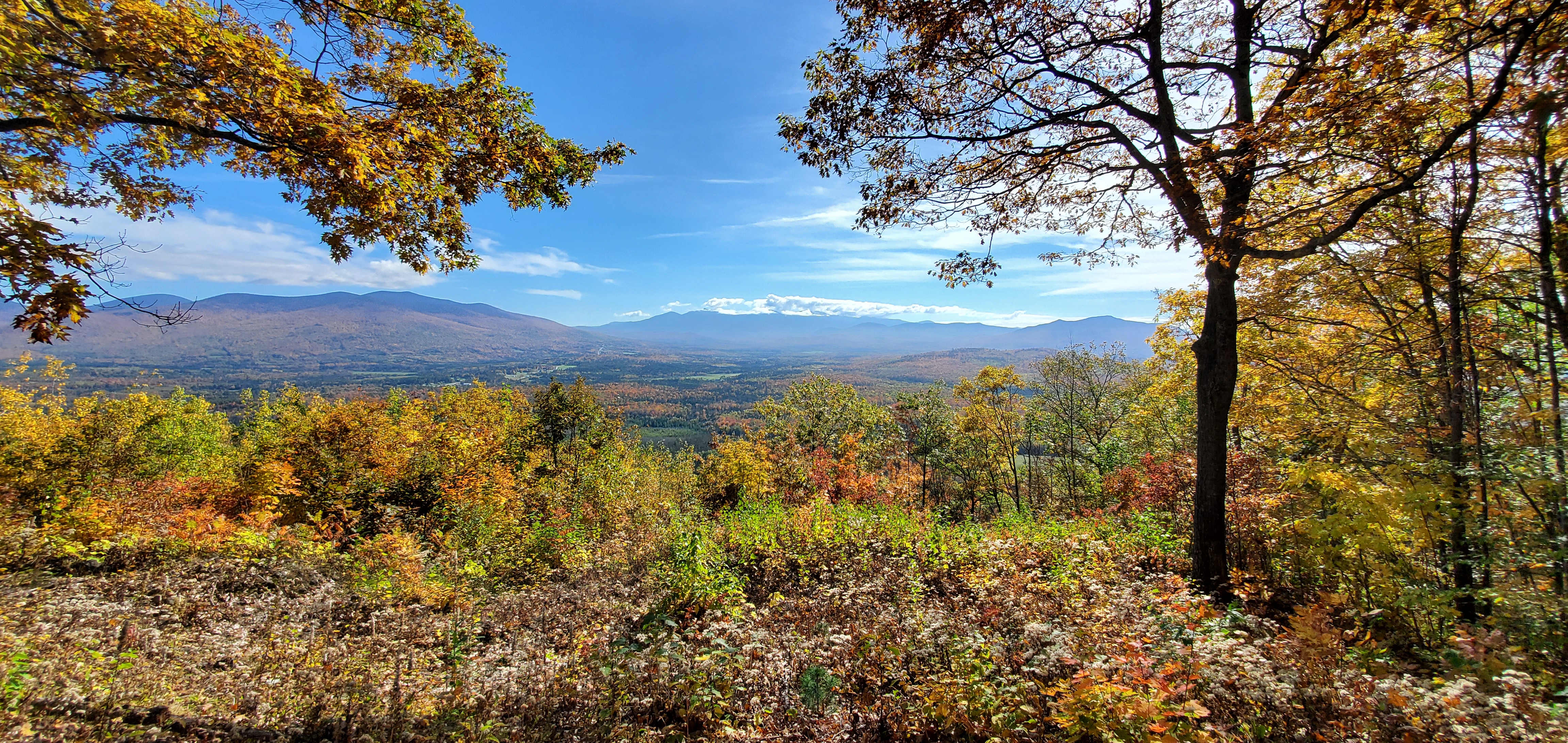 Fall Prospect Mountain