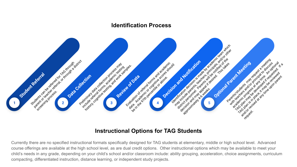 TAG program identification flow chart