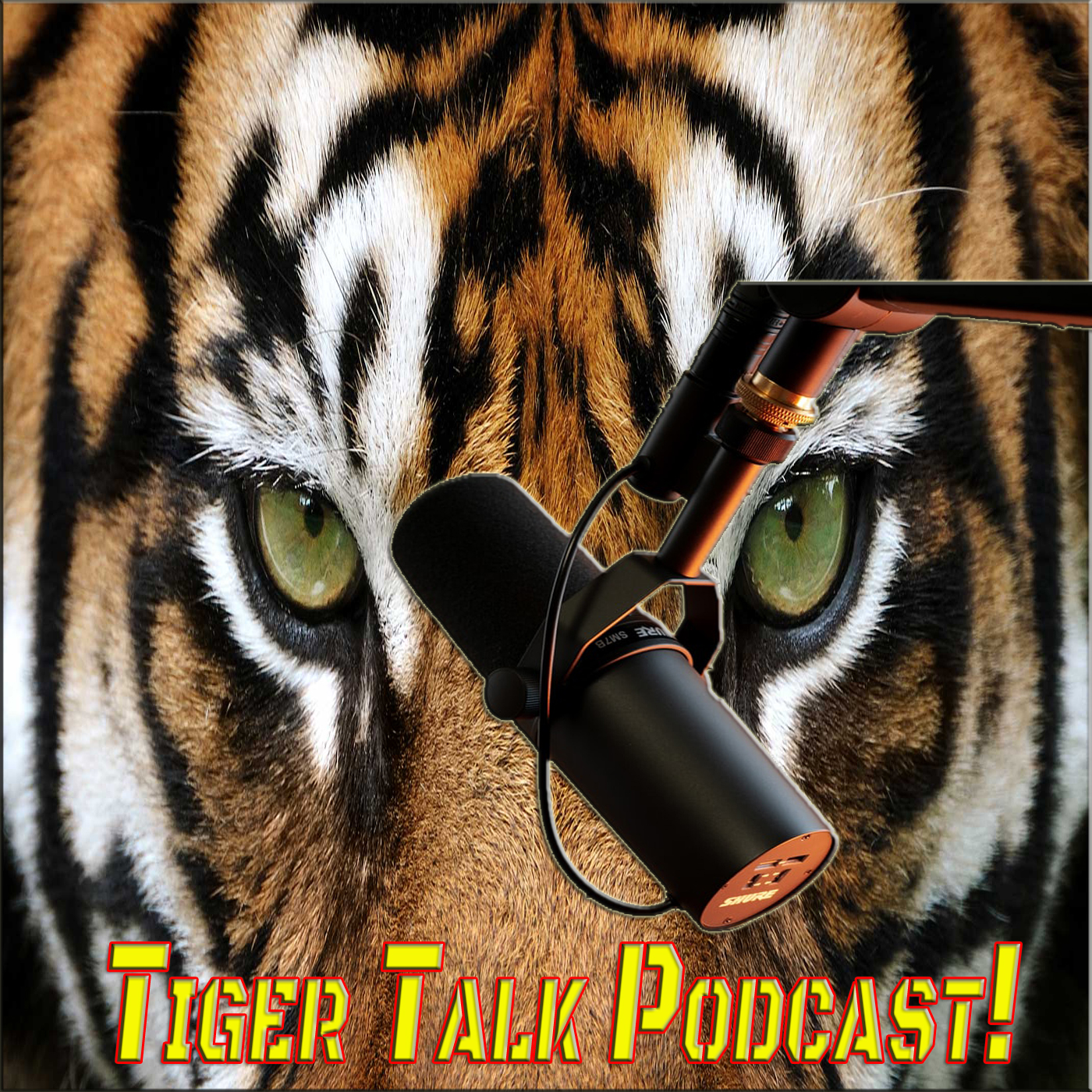 Tiger Talk Podcast!