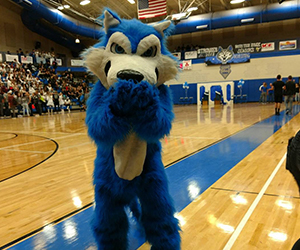 mascot