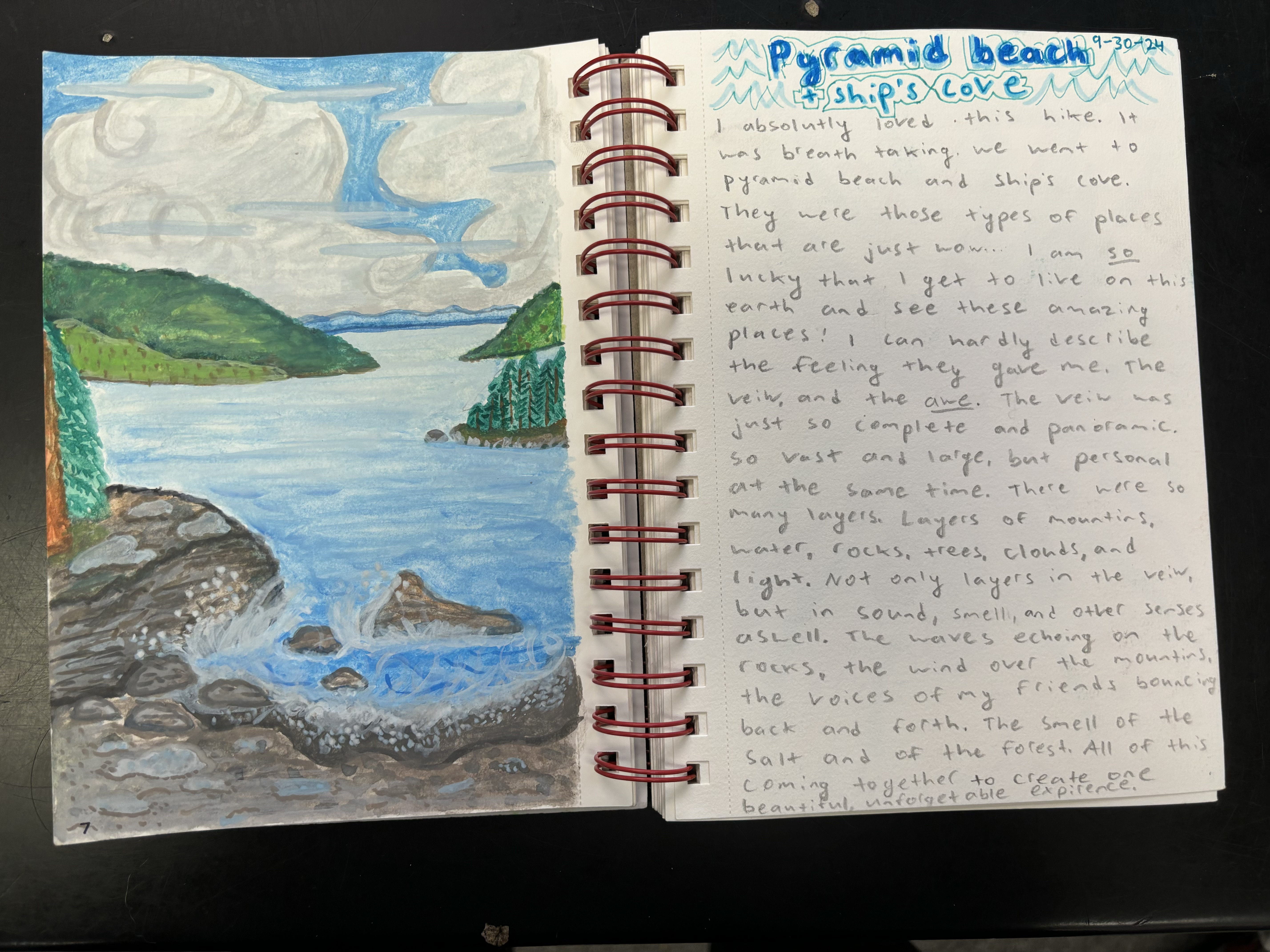 Field Journal Example