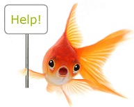 help fish