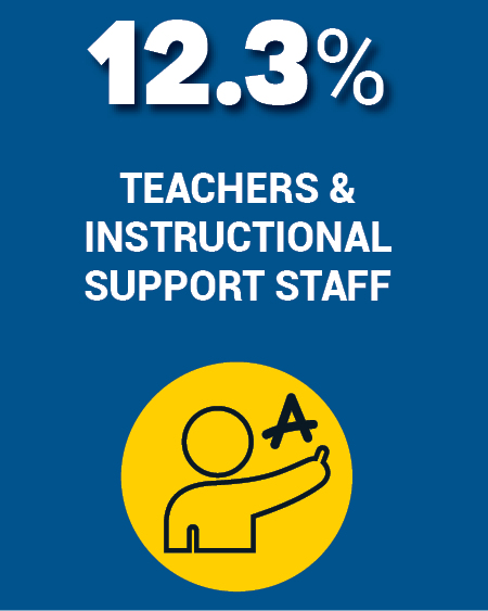 12.3% teachers & instructional support staff