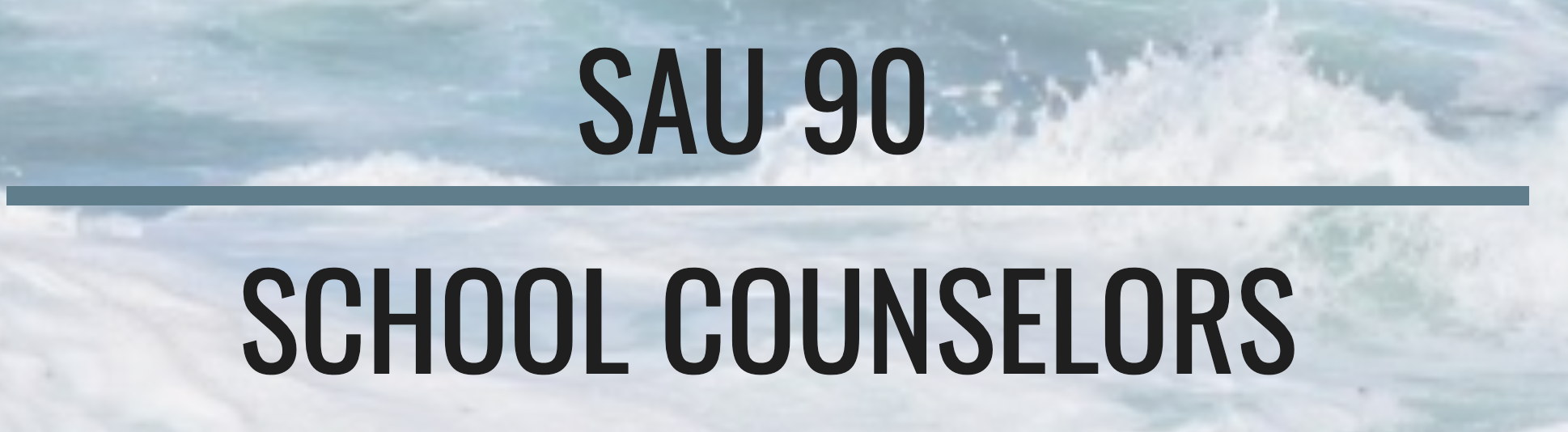 SAU 90 School Counselors