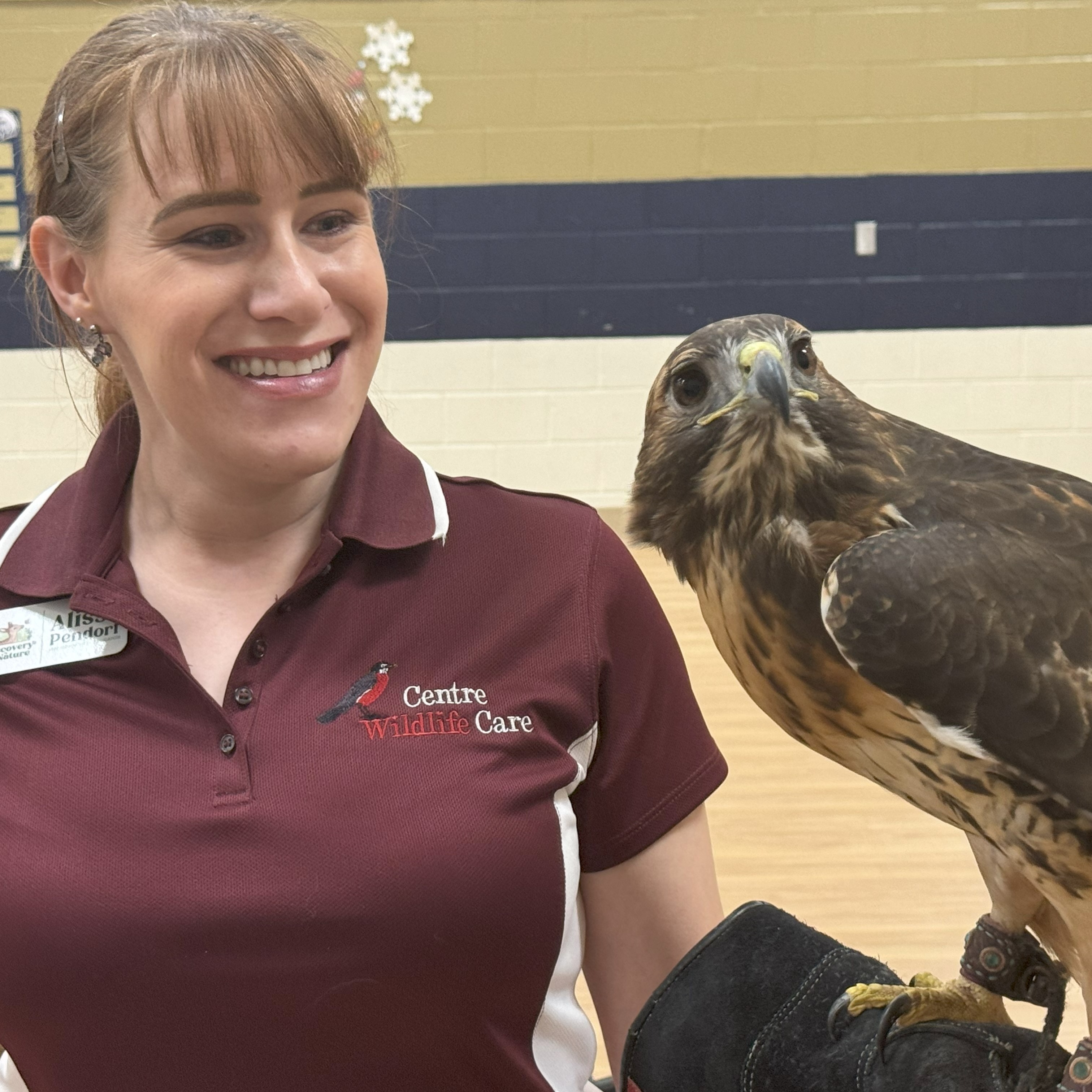 Centre Wildlife Care