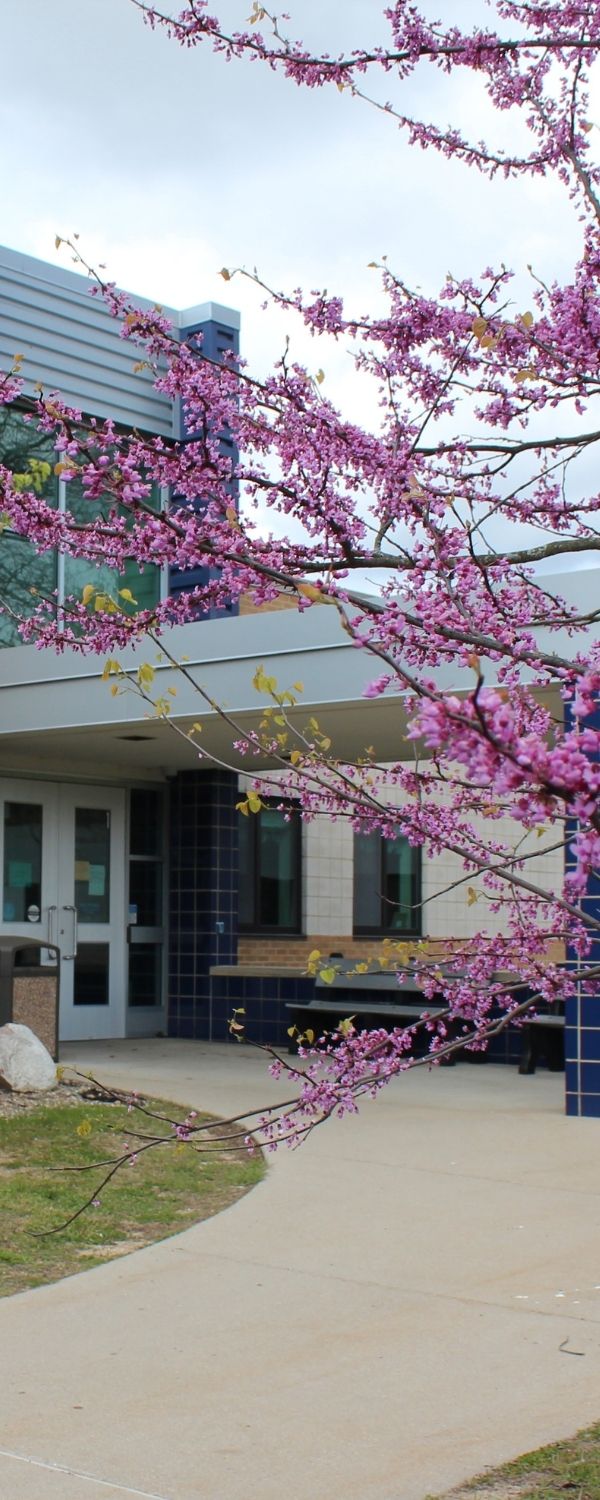 Picture of exterior at gilkey with pink flowering tree