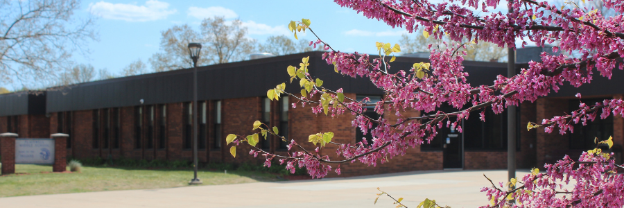 Picture of outside of Plainwell Middle School with flowering pink tree