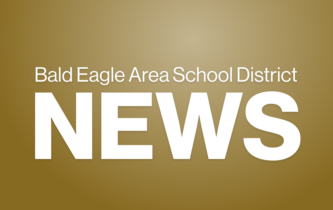 BALD EAGLE AREA SCHOOL DISTRICT