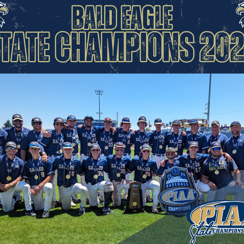 Bald Eagle Baseball State Championship Team Picture 