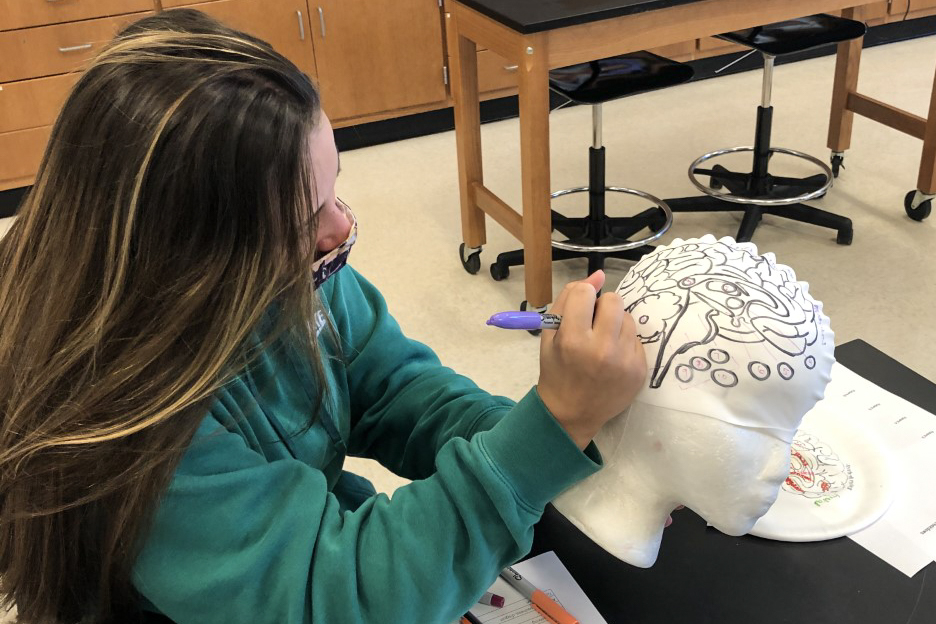 student drawing on foam head