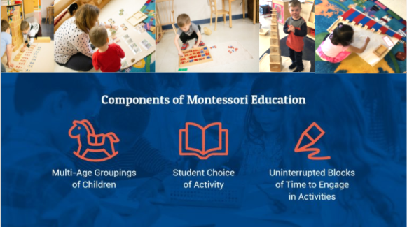 Components of Montessori