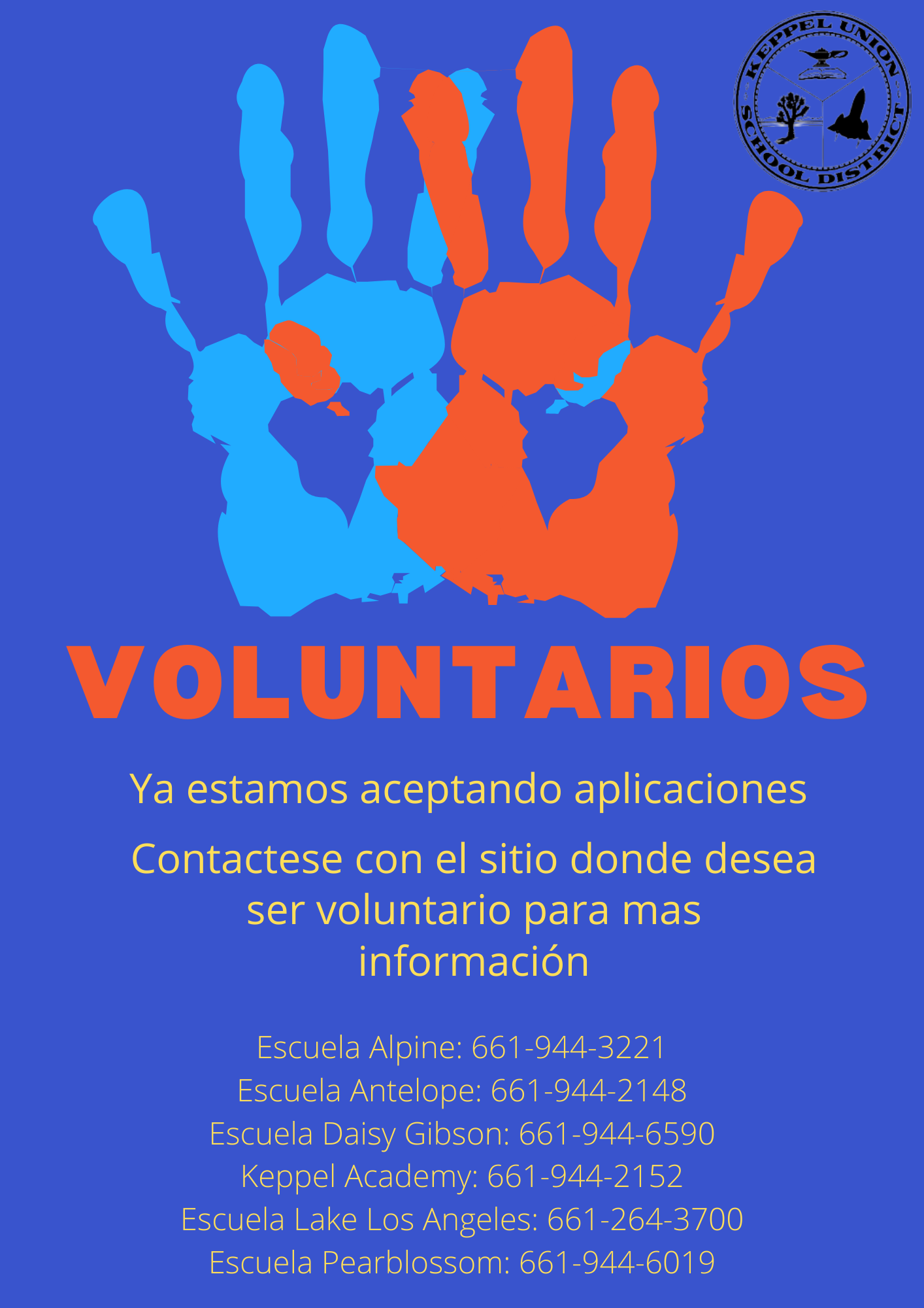 volunteer flyer spanish