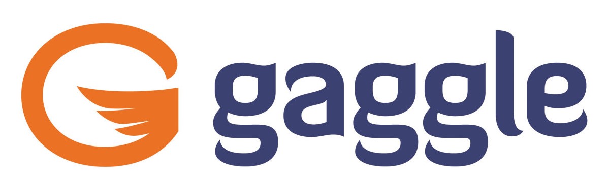gaggle.net