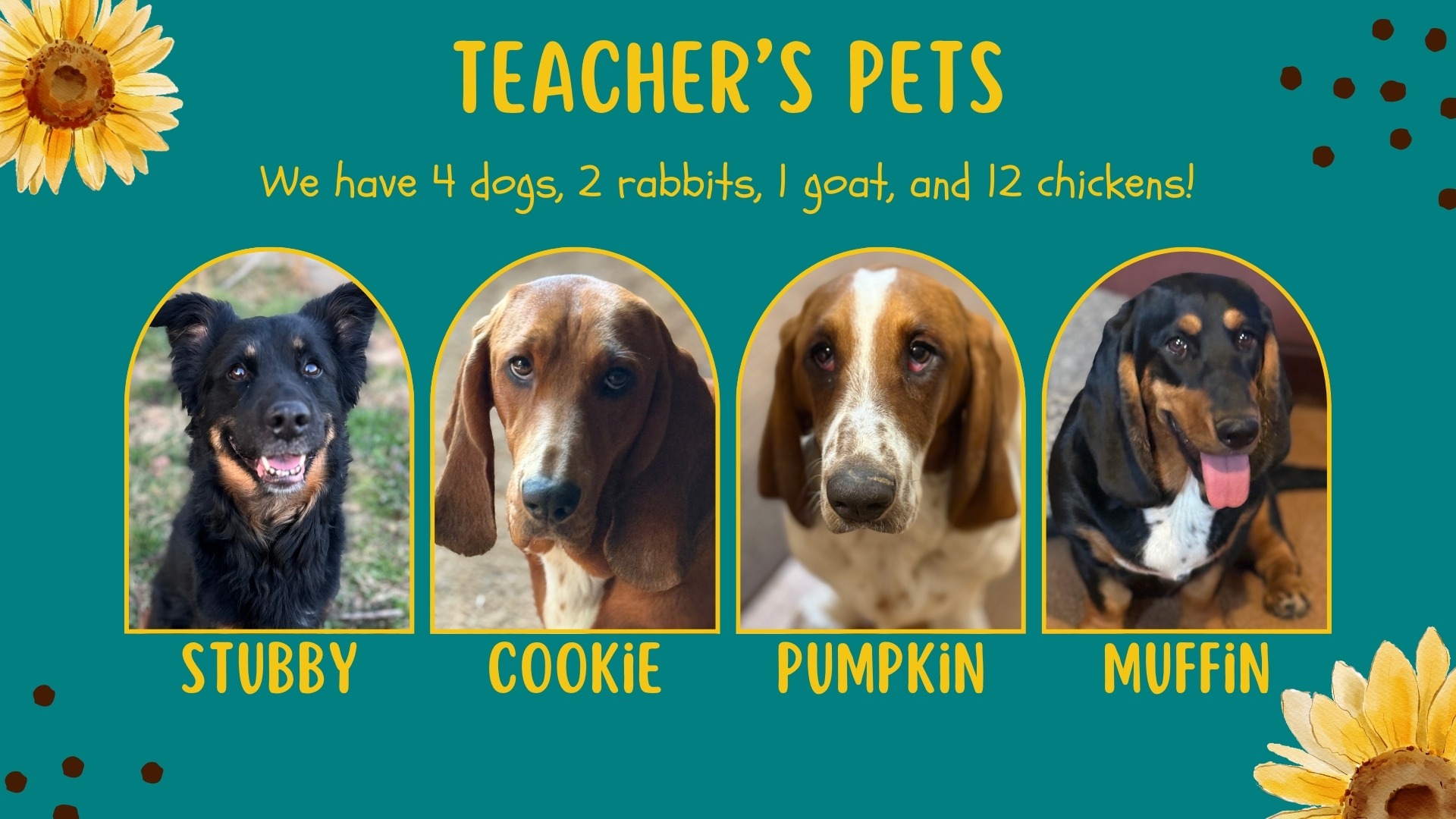 Mrs. Orman's Pets