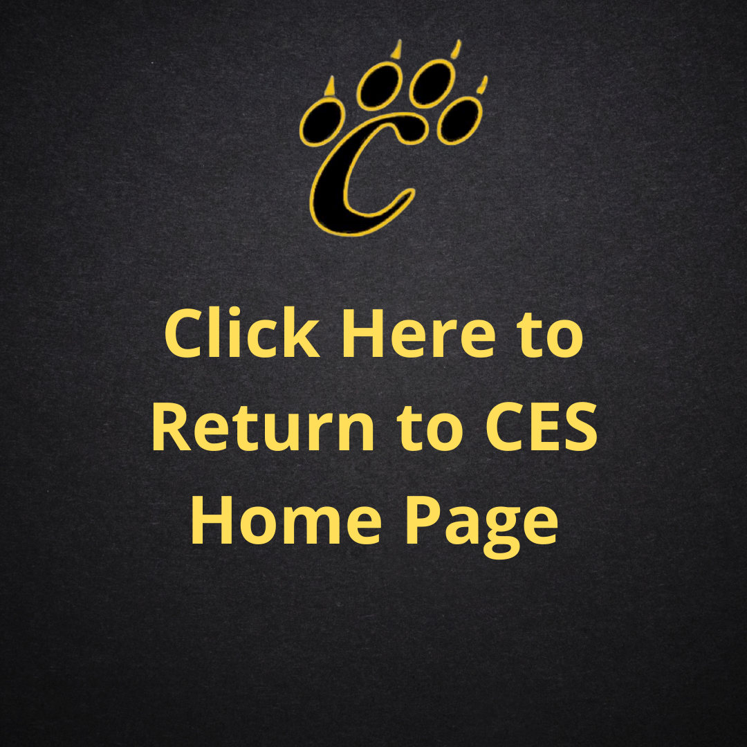 CES Home Button