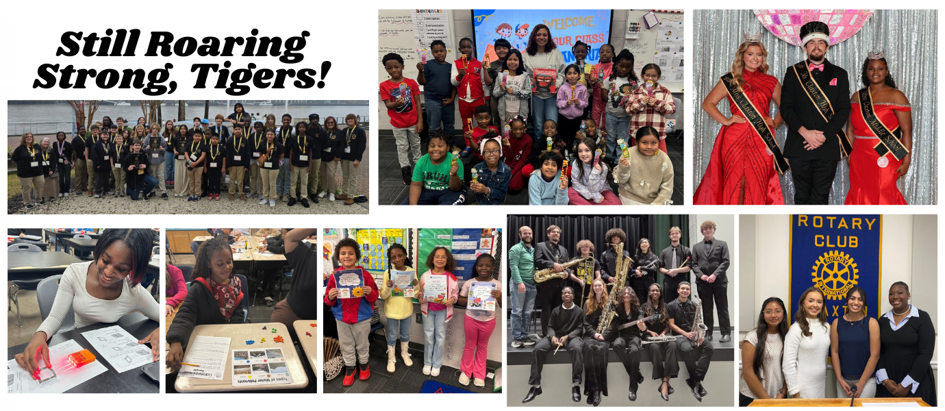 Still roaring strong tigers