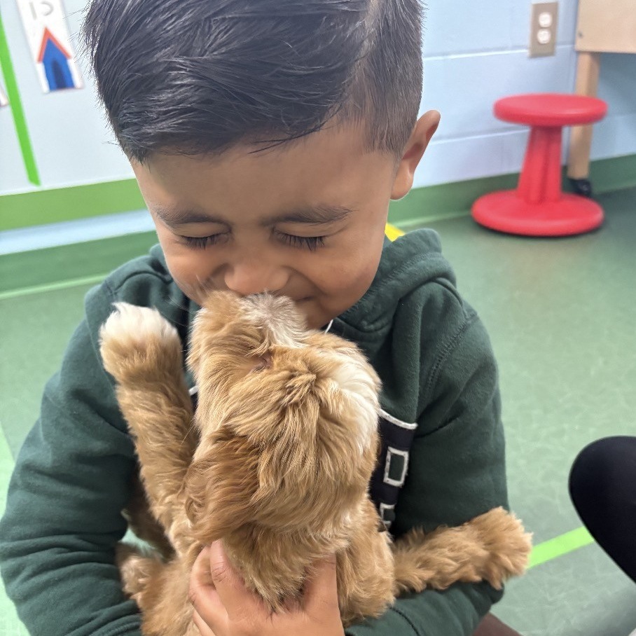 K4 student holding a golden doodle puppy.