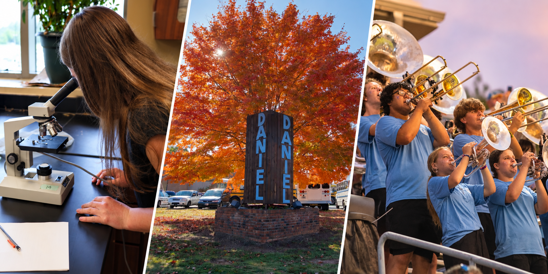 Decorative Fall Banner with band members, a science student, and the tree from the old campus.