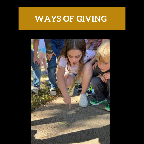 ways of giving