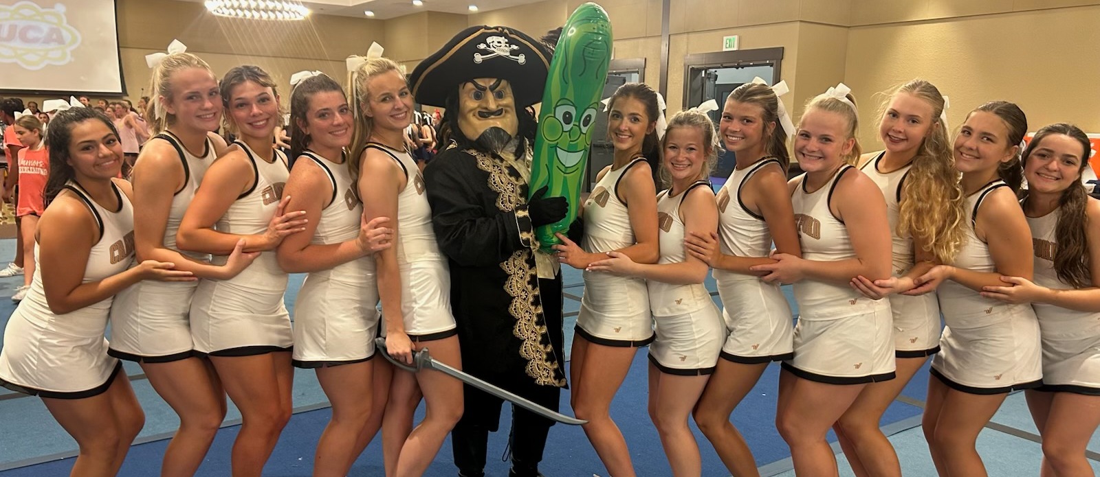 cheer banner