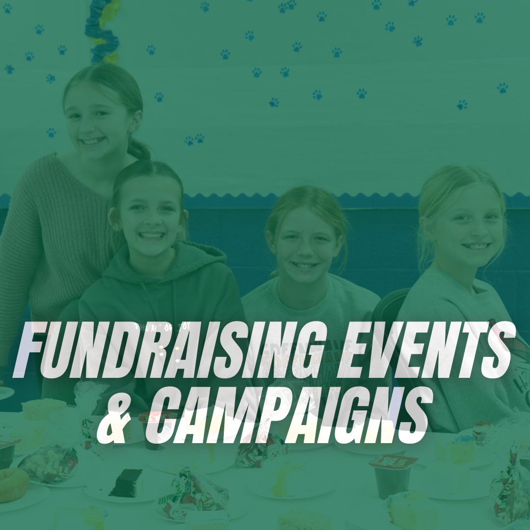 Fundraising Events & Campaigns