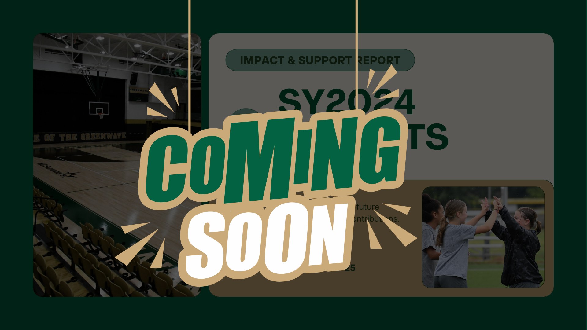 Impact Report Coming Soon - Preview