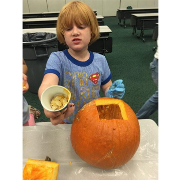 A young student holding a cup of pumpkin seeds