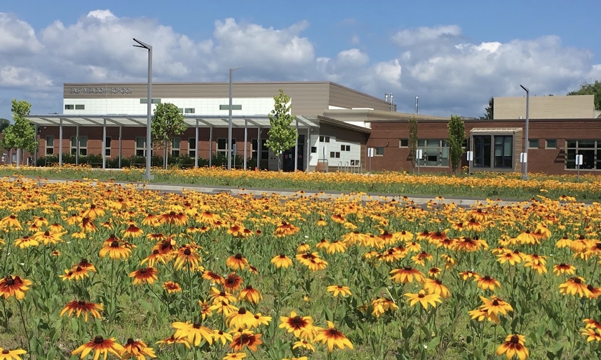 East Meadow School