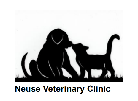 neuse vet