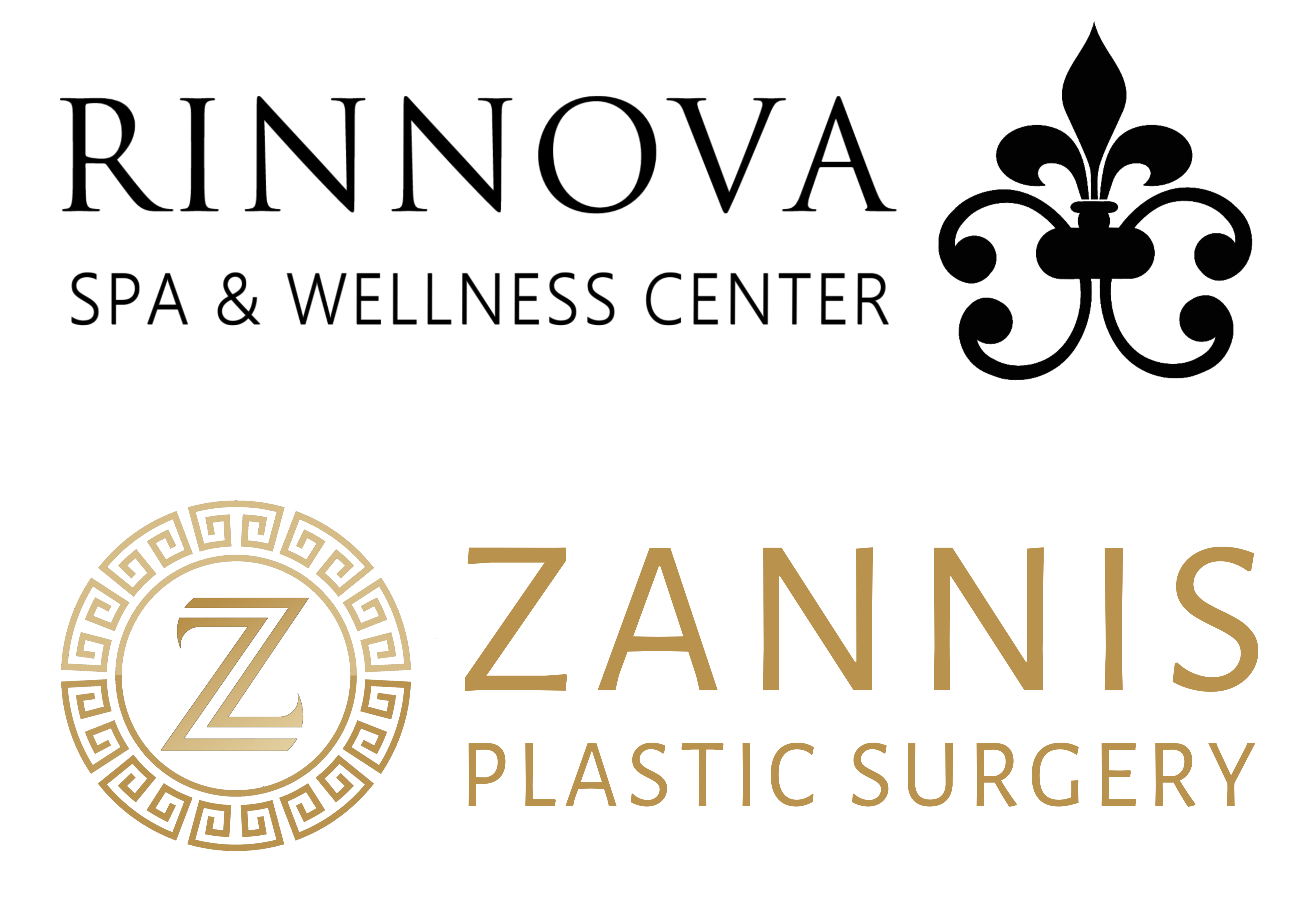 Zannis logo