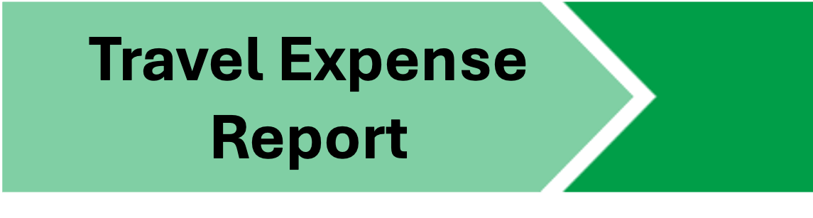 travel expense report