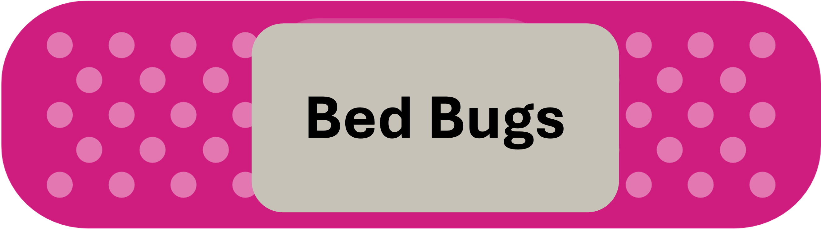 bed bugs