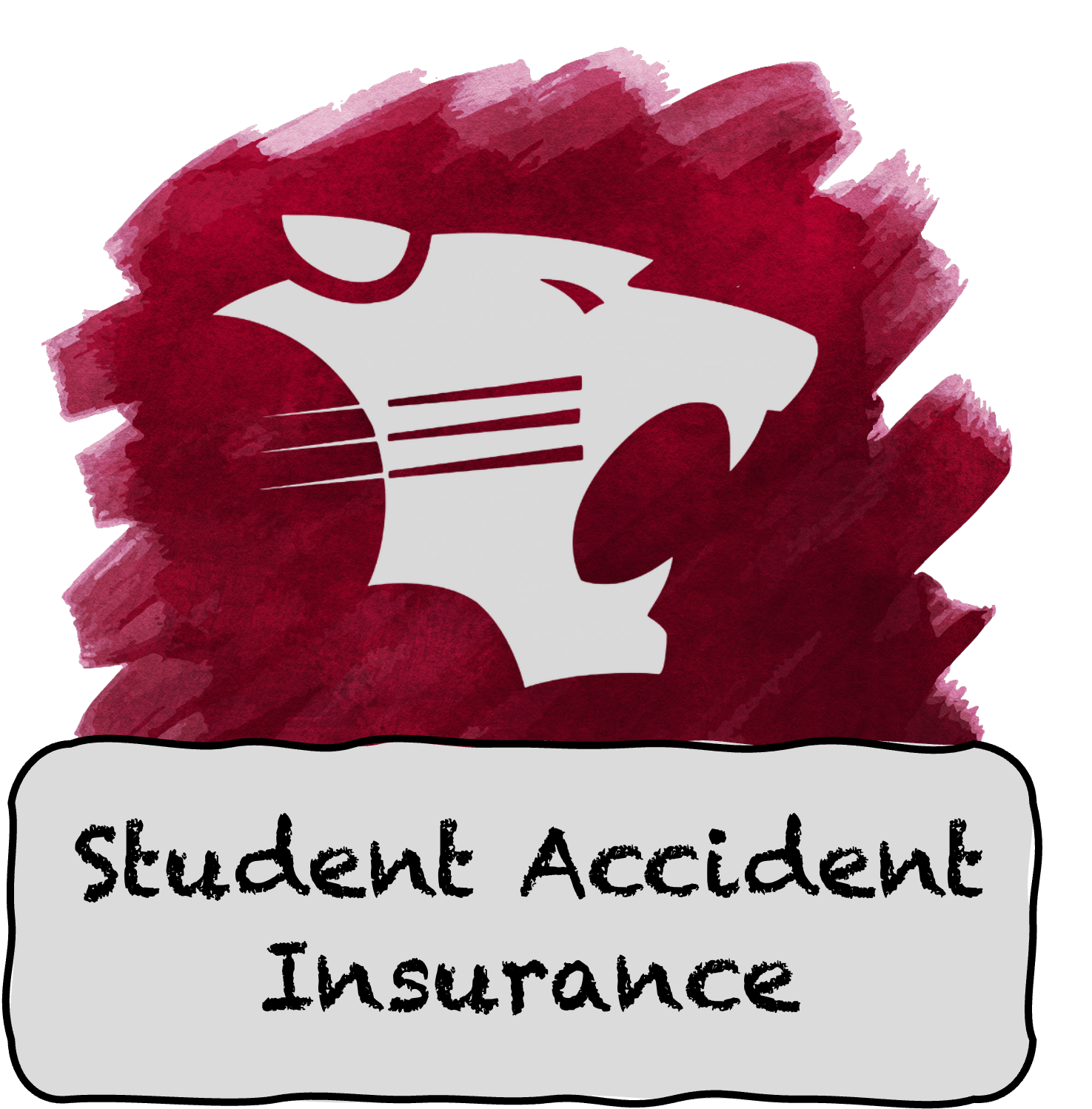 accident insurance