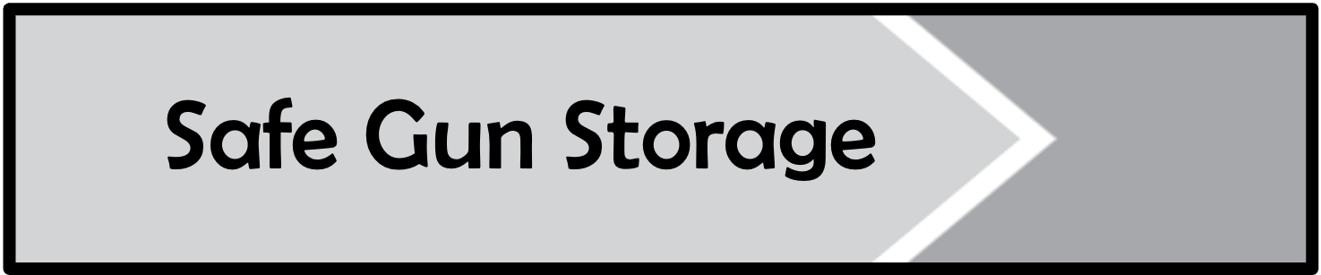 Safe Gun Storage