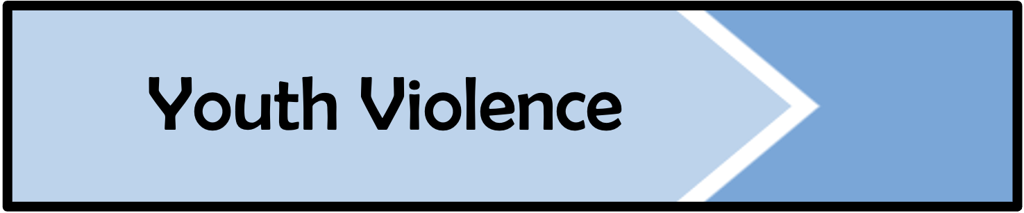Youth VIolence