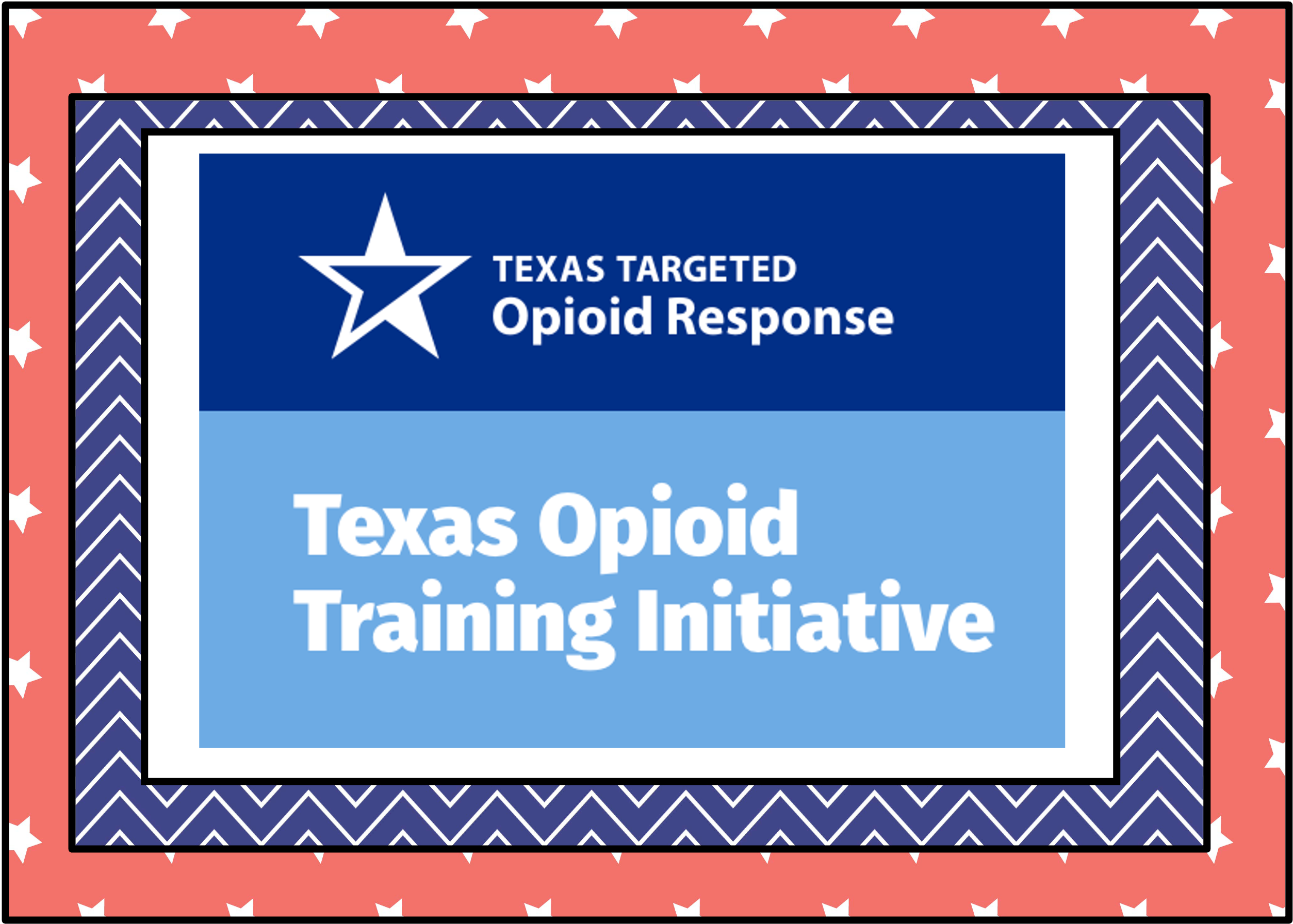 Opioid training initiative