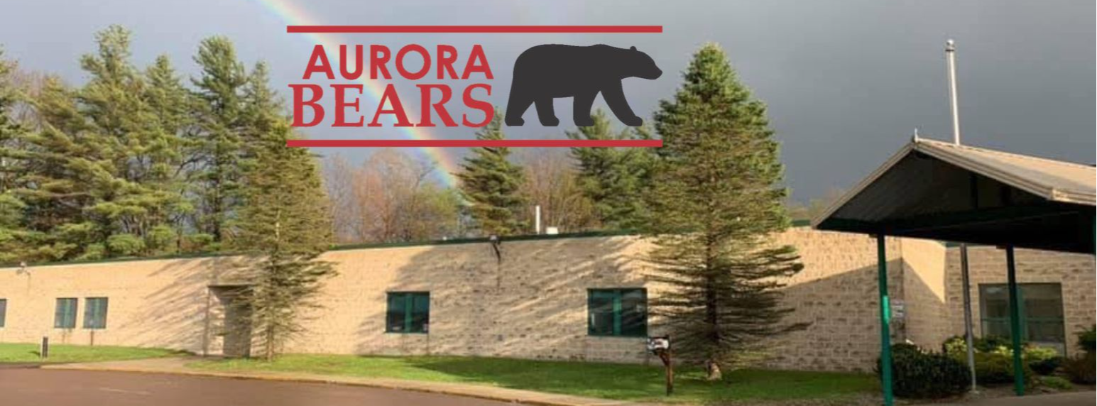 aurora school